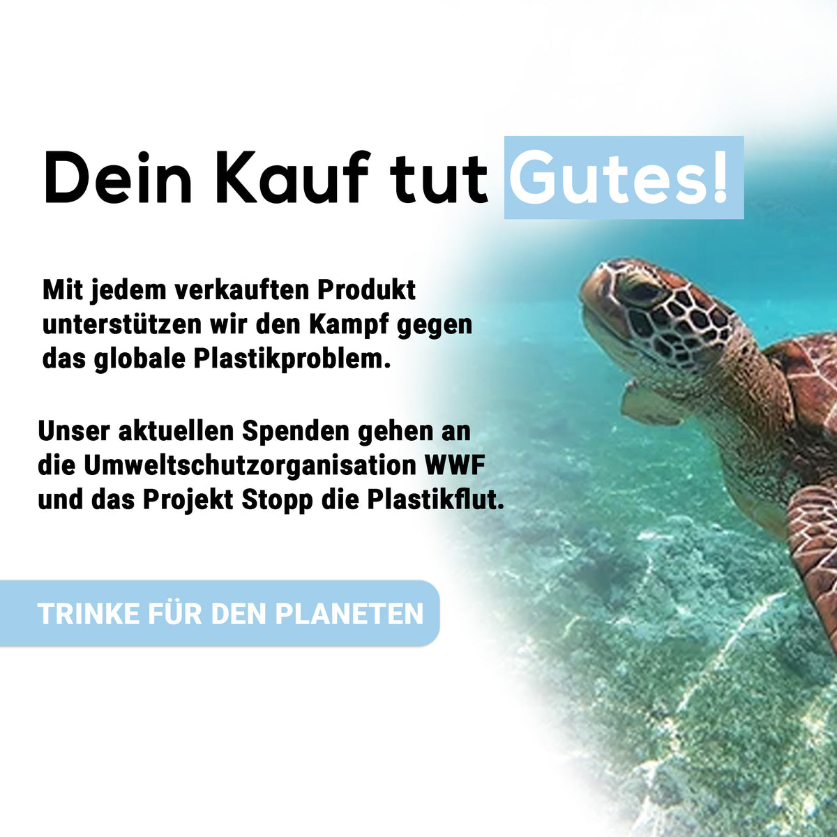 Clear Wasserfilter für Philips & Saeco Kaffeemaschinen komp. mit AquaClean CA6903 - Pack 06