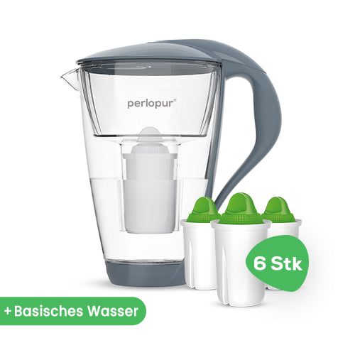 Glas-Wasserfilter inkl. 6 Filterkartuschen