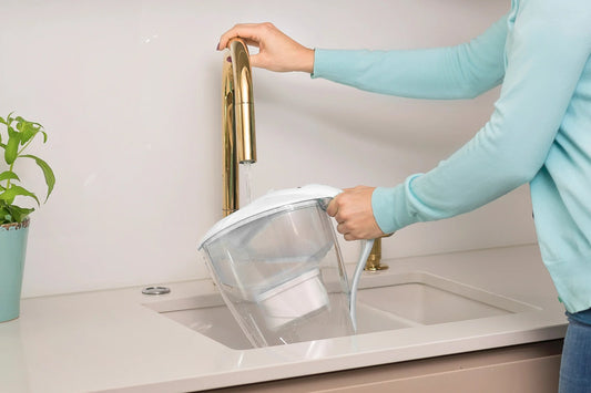 Wie kann man Wasserfilter Kartuschen richtig entsorgen? | Recycling-Programm - paarlco.com