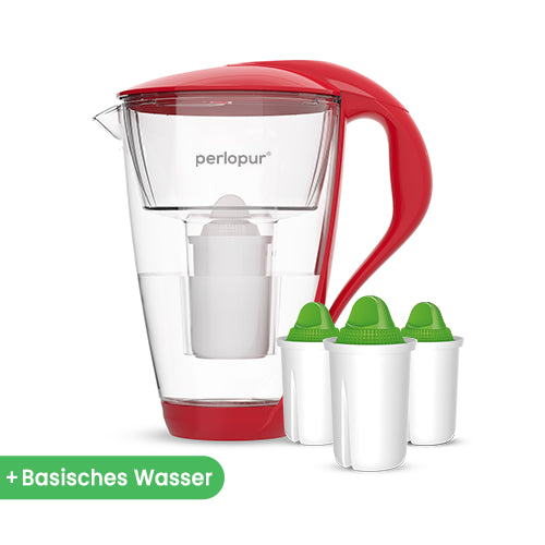Glas-Wasserfilter inkl. 3 Filterkartuschen